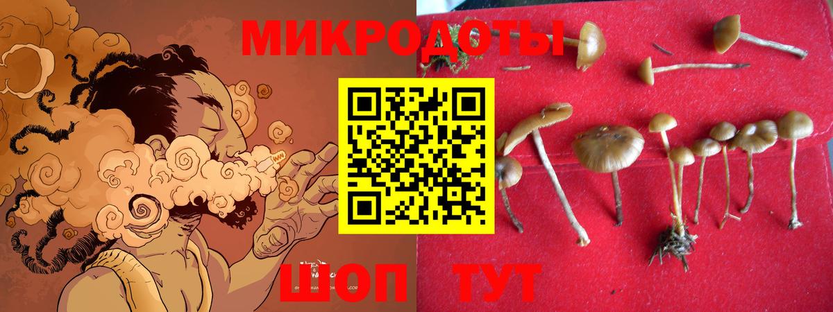 Псилоцибиновые грибы Magic Shrooms  Вход с VPN  Барнаул  Галлюциногенные грибы GOLDEN TEACHER 
